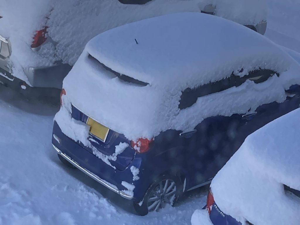 雪を載せているクルマ